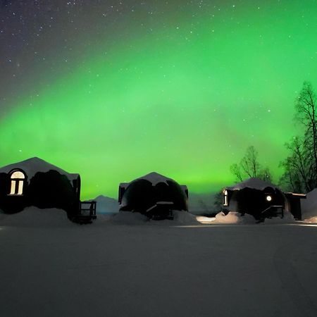 Talkeetna Aerie Adventure Lodge Bagian luar foto