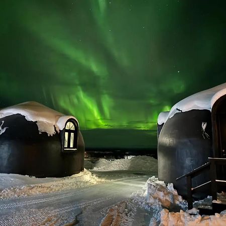 Talkeetna Aerie Adventure Lodge Bagian luar foto