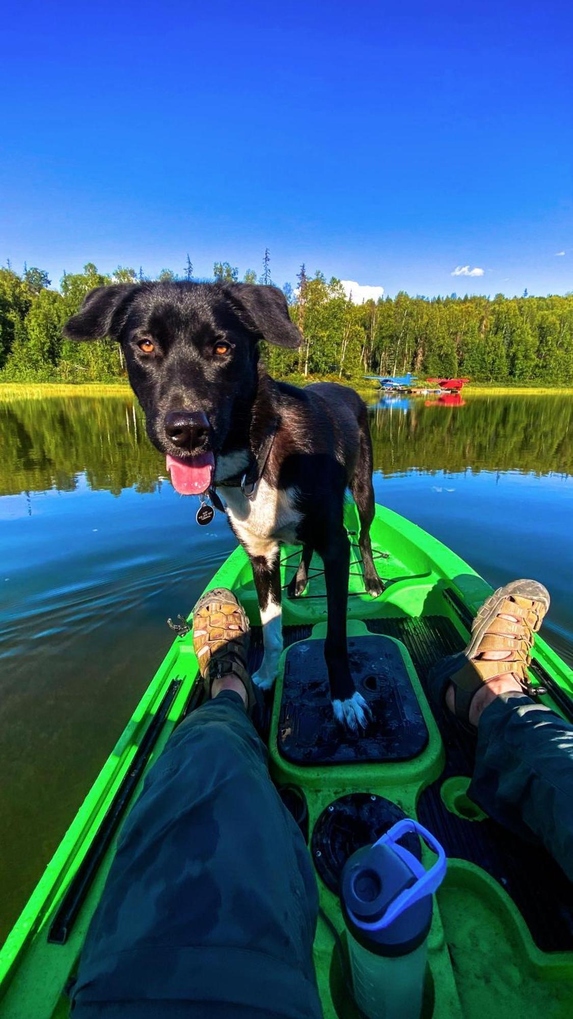 Talkeetna Aerie Adventure Lodge Bagian luar foto